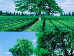 -千龙湖生态旅游度假区