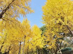 -四明山国家森林公园