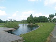 -同济大学(嘉定校区)