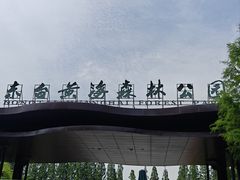 -黄海国家森林公园