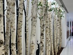 -极简口腔(总院)