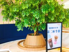 -CoCo都可(中联广场店)