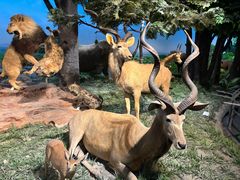 -国家自然博物馆