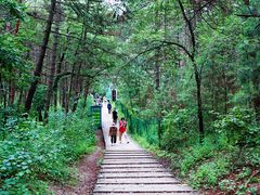 -帽儿山国家森林公园