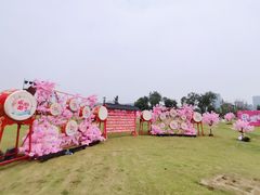 -桂溪生态公园