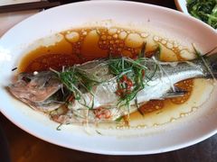 海鲈鱼-启东恒大酒店·吕四渔号海鲜餐厅