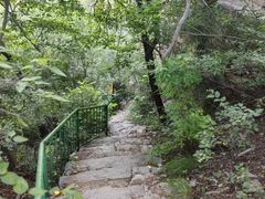 -老象峰