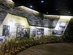 -大丰知青农场