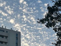 -山东大学(千佛山校区)