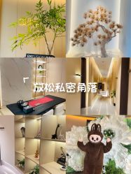 -雅荷悦来双美
