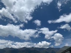 -喵屿·大理花园猫咖