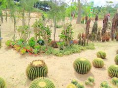-东莞植物园