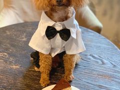 -可可露咖啡店(大东店)