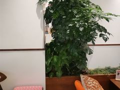 -Peet's Coffee皮爷咖啡(上海长风大悦城店)