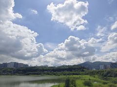 -立新湖公园