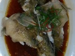 笋壳鱼清蒸-金八仙酒店