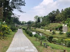 -东莞植物园
