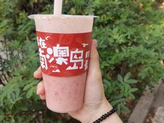 -南澳岛打卡果汁冰公司