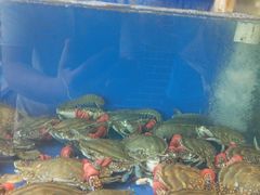 -小铜锣湾海鲜家常菜馆(河西店)