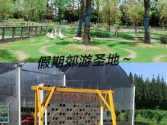 -前小桔亲子创意农场·草莓采摘·露营烧烤