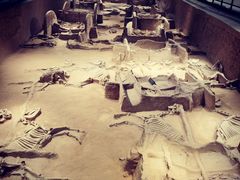 -洛阳周王城天子驾六博物馆