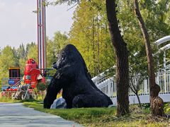 -滕州微山湖红荷湿地景区