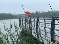 -美兰湖景区