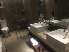 -常州环球恐龙城维景国际大酒店