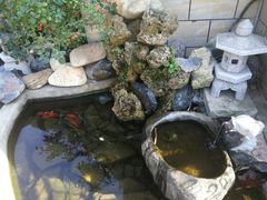 -天正河鲀·河豚亭(大连店)