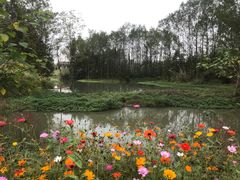 -桤木河湿地公园