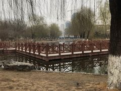 -丰台科技园生态主题公园