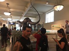 -美国自然历史博物馆