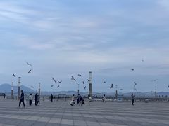 -东港音乐喷泉广场