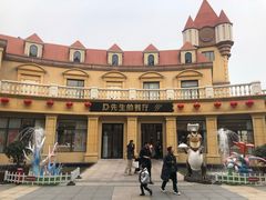 -恐龙人俱乐部