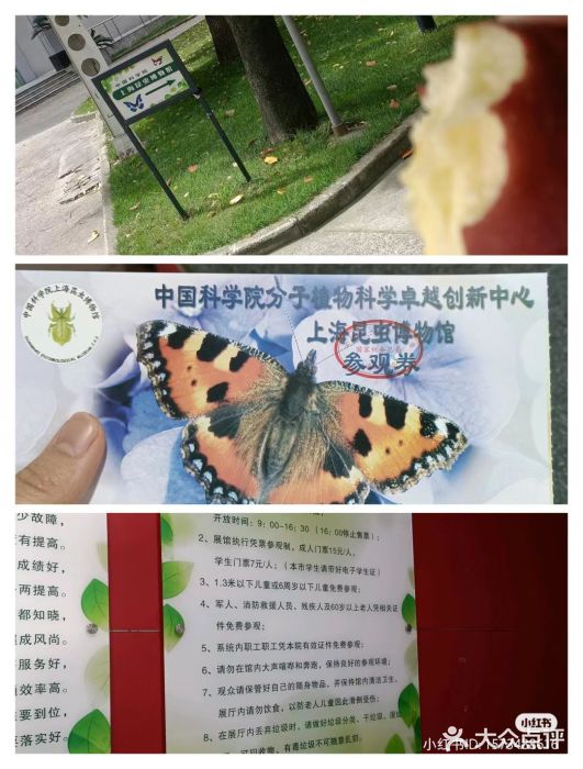 上海昆虫博物馆图片
