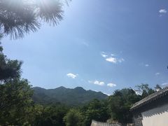 -阳台山自然风景区