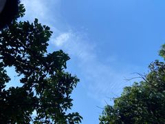 -东莞市大岭山森林公园