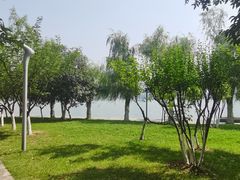 -天鹅湖体育公园