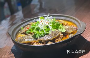 Chicken and Softshell Turtle Stew