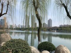 -后襄河公园