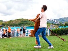 -趣玩宠物乐园寄养训犬训狗游泳池