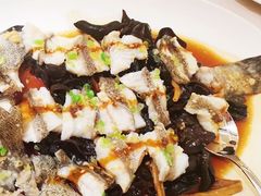 古法蒸老虎斑-利苑酒家(金宝店)