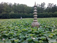 -南国桃园旅游度假区