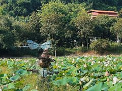 -红山村