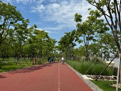 -上海山野camping·户外天幕烧烤·团建拓展营地