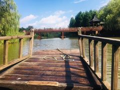 -溱湖国家湿地公园