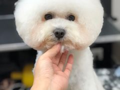 -小尾巴宠物店(万科·金域华庭店)