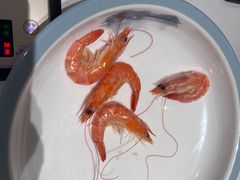 -天鹰观渔(梦园店)