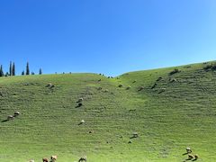 -新疆那拉提国家旅游度假区