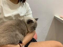 -立德动物医院·24小时中心(番禺区院区)